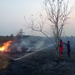 Kebakaran Lahan Kembali Terjadi di Tanjung Limau Muara Badak, Sehari Setelah Karhutla Sebelumnya