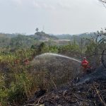 Damkar Sigap Tangani Kebakaran Lahan Dekat Tempat Usaha di Tenggarong Seberang
