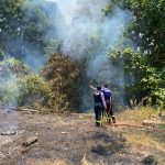 Kebakaran Lahan Seperempat Hektare di Tenggarong Berhasil Dikendalikan dalam 42 Menit